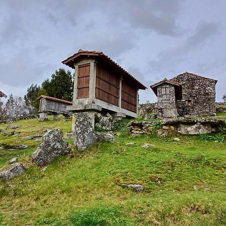 Vila Casa Da Rosa Porreiras Paredes de Coura Exteriér fotografie